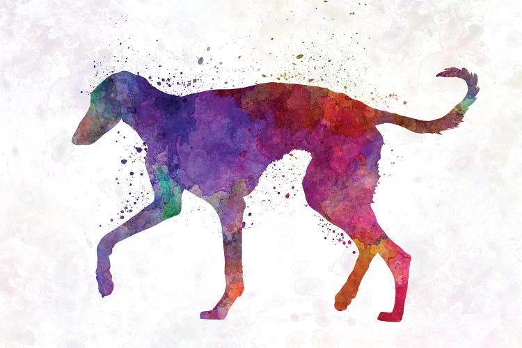 Polish Greyhound In Watercolor by Paul Rommer wall art