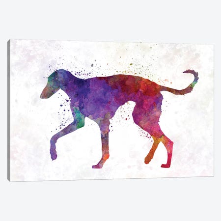 Polish Greyhound In Watercolor Canvas Print #PUR579} by Paul Rommer Canvas Art