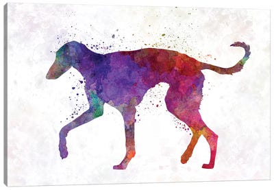 Polish Greyhound In Watercolor Canvas Art Print - Greyhound Art