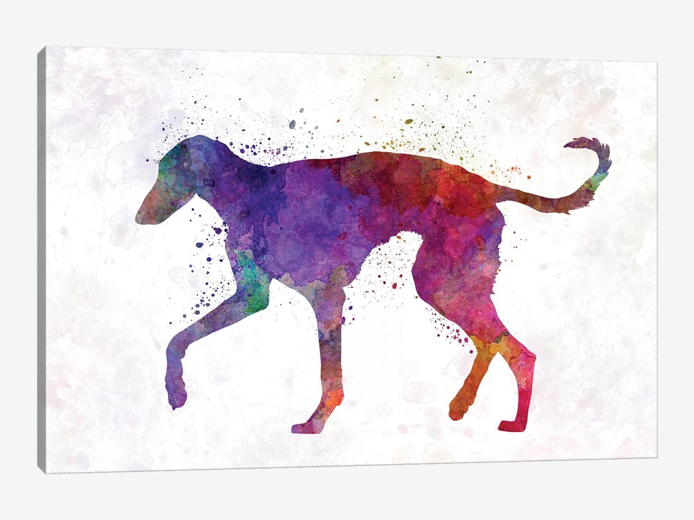 Polish Greyhound In Watercolor by Paul Rommer 1-piece Canvas Print
