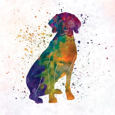 Polish Hound In Watercolor by Paul Rommer acrylic art print