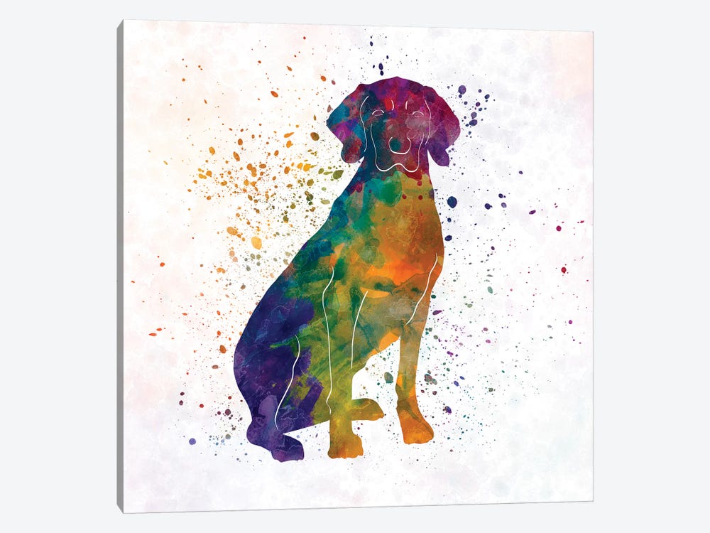 Polish Hound In Watercolor by Paul Rommer 1-piece Canvas Art Print