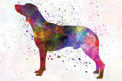 Polish Hunting Dog In Watercolor by Paul Rommer canvas print