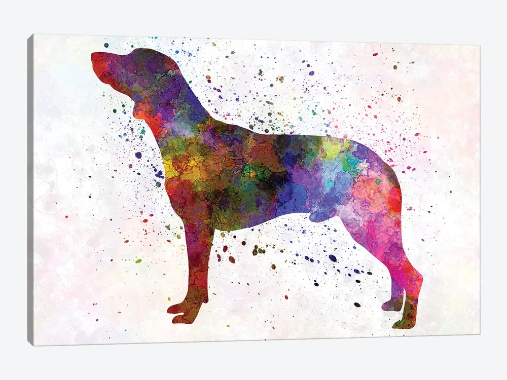 Polish Hunting Dog In Watercolor by Paul Rommer 1-piece Canvas Wall Art
