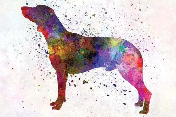 Polish Hunting Dog In Watercolor