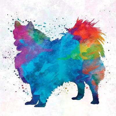 Pomeranian In Watercolor by Paul Rommer framed wall art