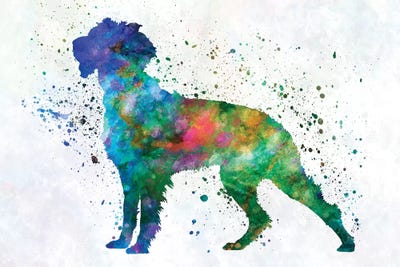 Pont Audemer Spaniel In Watercolor by Paul Rommer metal wall art