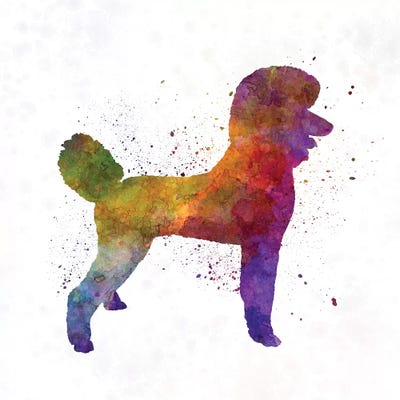 Poodle 01 In Watercolor by Paul Rommer art print