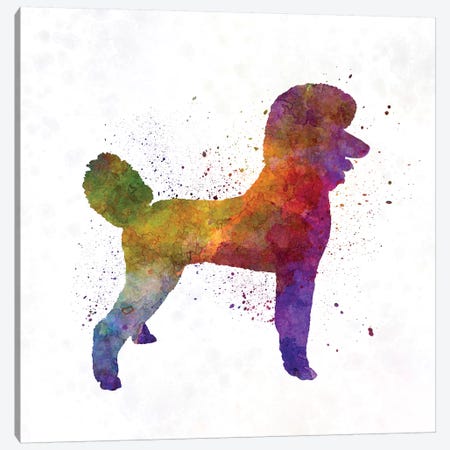 Poodle 01 In Watercolor Canvas Print #PUR585} by Paul Rommer Canvas Wall Art