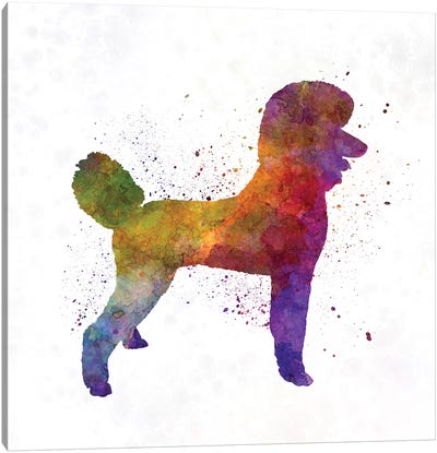 Poodle 01 In Watercolor Canvas Art Print - Paul Rommer