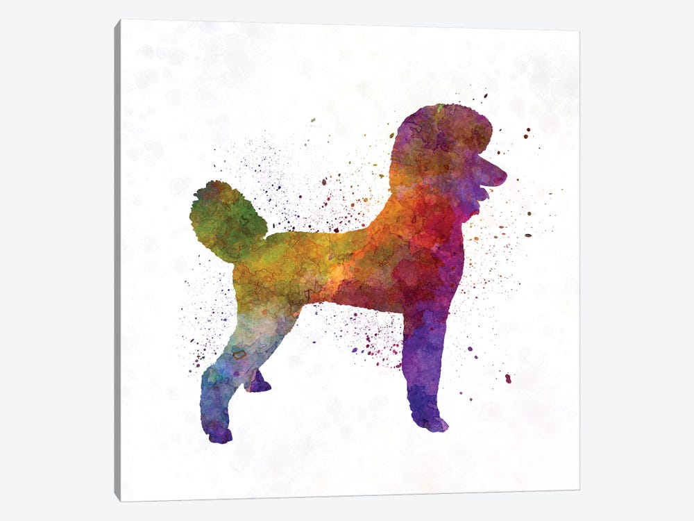 Poodle 01 In Watercolor by Paul Rommer 1-piece Canvas Art