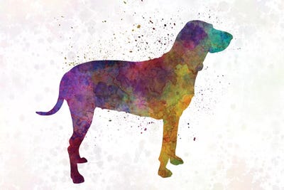 Porcelaine In Watercolor by Paul Rommer canvas print