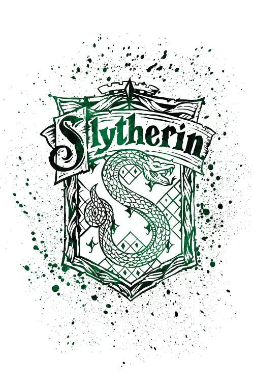 Harry Potter- Slytherin Canvas Art Print by Paul Rommer | iCanvas