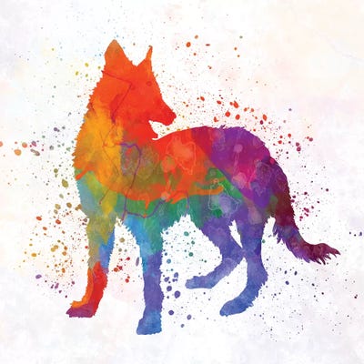 Portuguese Warren Hound In Watercolor by Paul Rommer acrylic art print