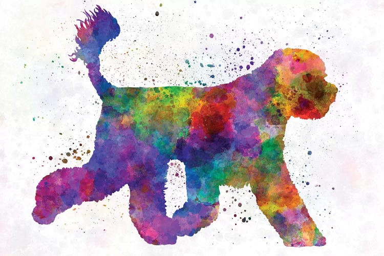 Portuguese Water Dog In Watercolor