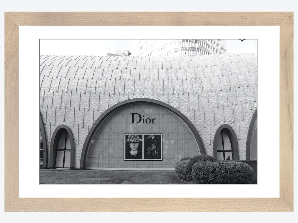Art frame dior -  France