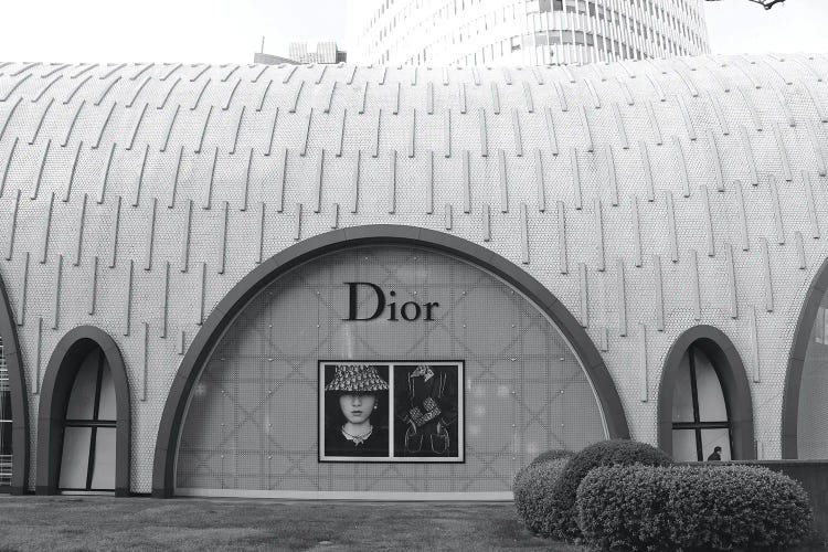 Dior IV