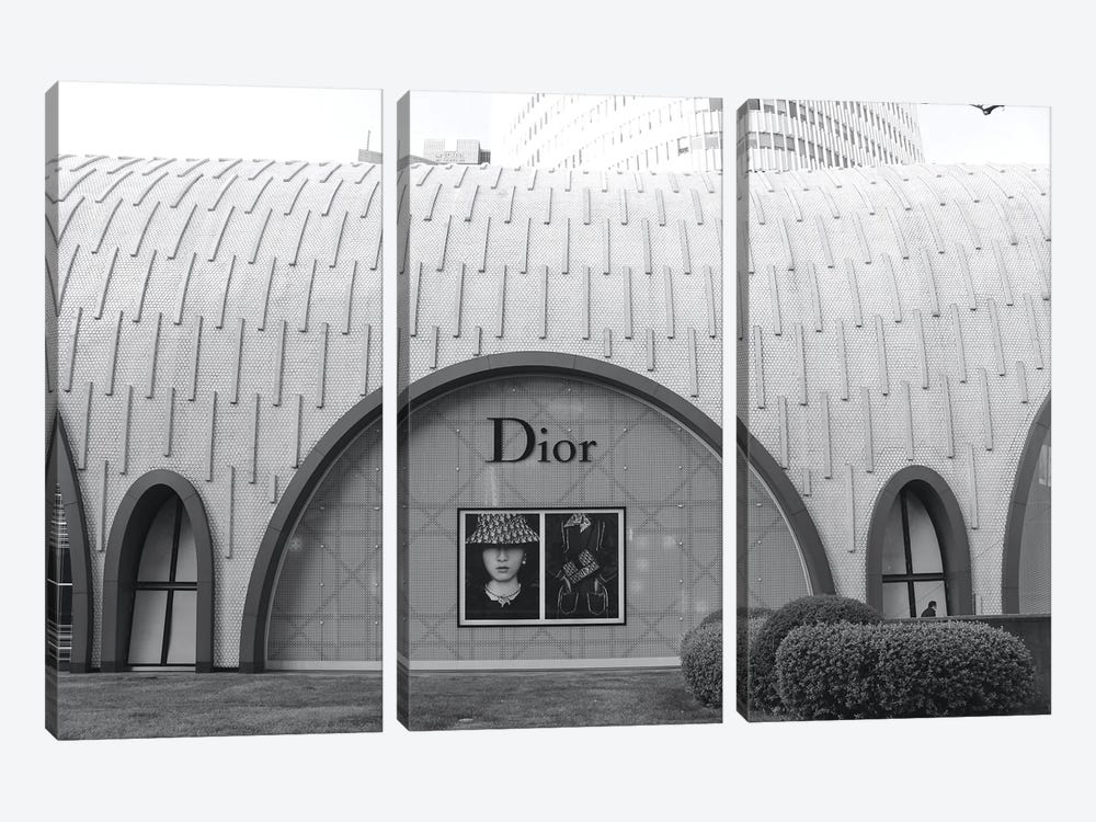 Dior IV by Paul Rommer 3-piece Canvas Print