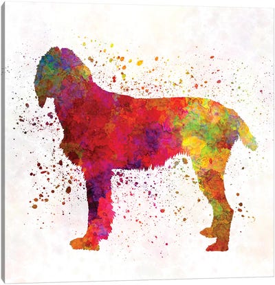 Pudelpointer In Watercolor Canvas Art Print - Pointer & Setter Art
