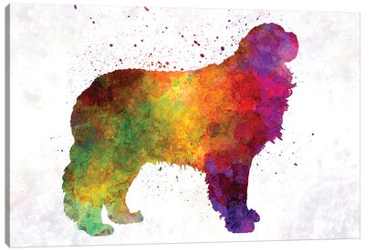 Pyrenean Mastiff In Watercolor Canvas Art Print