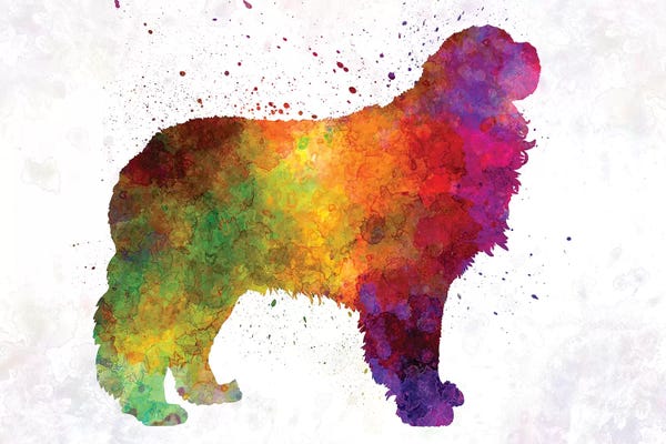 Mastiffs: Pyrenean Mastiff In Watercolor by Paul Rommer