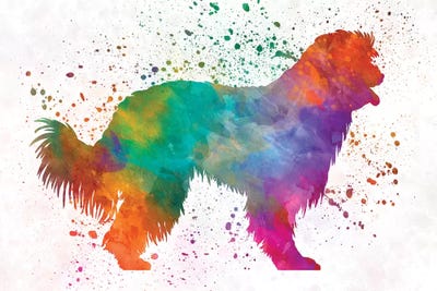 Pyrenean Sheepdog In Watercolor by Paul Rommer canvas print