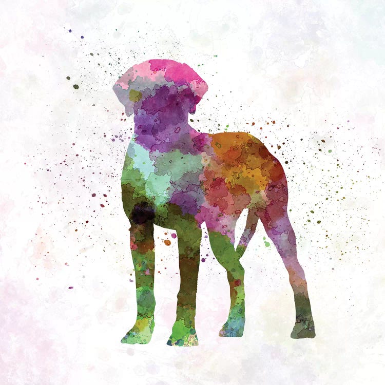 Rhodesian Ridgeback In Watercolor by Paul Rommer wall art