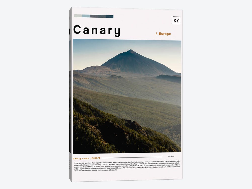 Canary Landscape Poster by Paul Rommer 1-piece Canvas Wall Art
