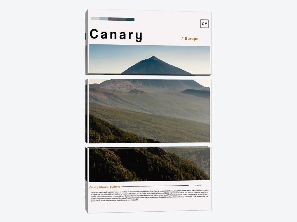 Canary Landscape Poster by Paul Rommer 3-piece Canvas Wall Art