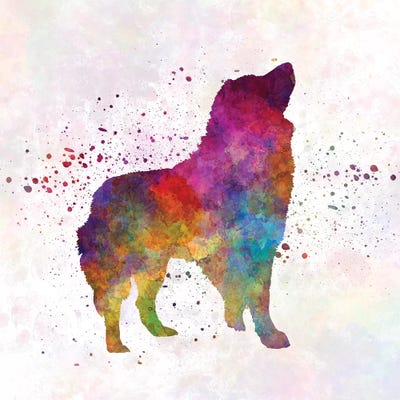 Romanian Carpathian Shepherd Dog In Watercolor by Paul Rommer canvas print