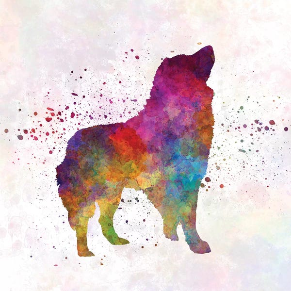 Shepherds (Herding Dogs): Romanian Carpathian Shepherd Dog In Watercolor by Paul Rommer