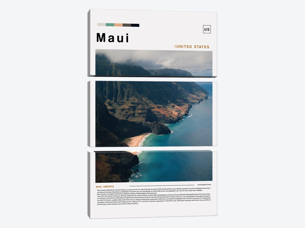 Maui Poster Landscape by Paul Rommer 3-piece Canvas Wall Art