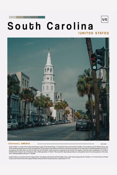 South Carolina: South Carolina Poster Landscape by Paul Rommer