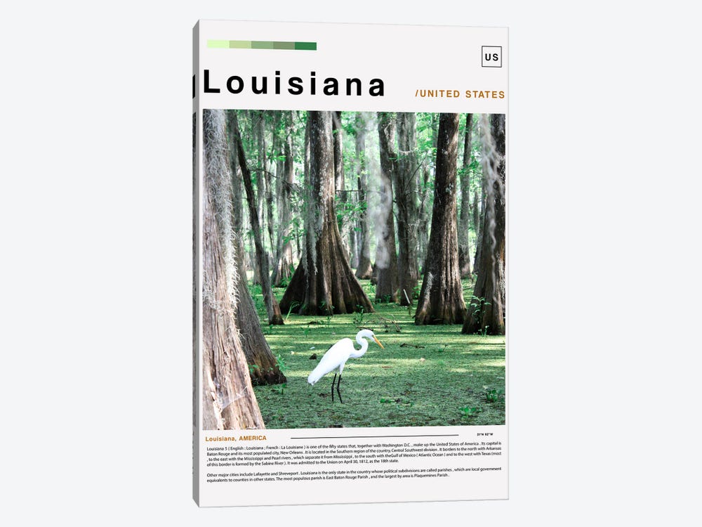 Louisiana Poster Landscape by Paul Rommer 1-piece Canvas Wall Art