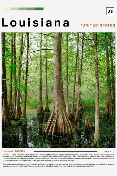 Louisiana: Louisiana II Poster Landscape by Paul Rommer