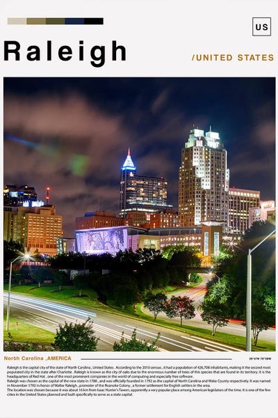 Raleigh: Raleigh Poster Landscape by Paul Rommer