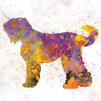 Russian Black Terrier In Watercolor by Paul Rommer canvas print