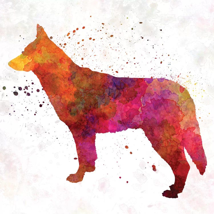 Saarloos Wolfdog In Watercolor
