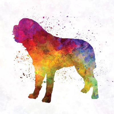 Saint Bernard In Watercolor by Paul Rommer canvas print