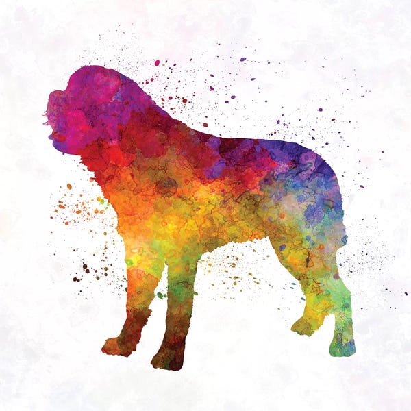 St. Bernards: Saint Bernard In Watercolor by Paul Rommer