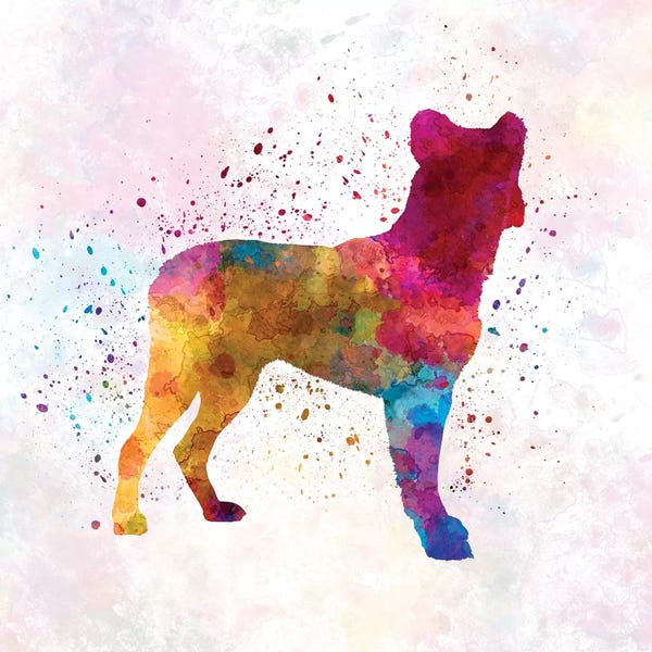 Saint Miguel Cattle Dog In Watercolor