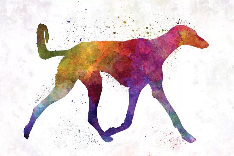 Saluki In Watercolor