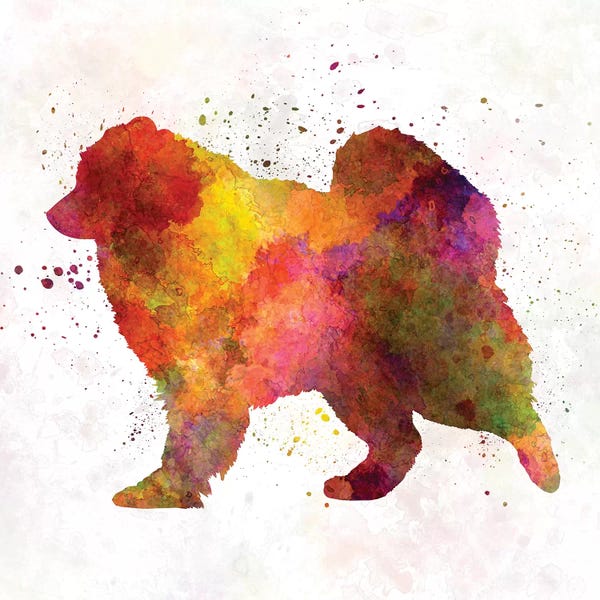 Samoyeds: Samoyed In Watercolor by Paul Rommer