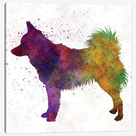 Schipperke In Watercolor Canvas Print #PUR643} by Paul Rommer Canvas Artwork