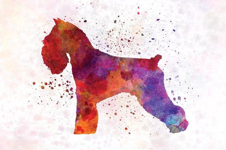 Schnauzer In Watercolor by Paul Rommer wall art