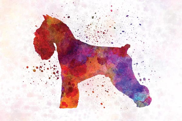 Paul Rommer: Schnauzer In Watercolor by Paul Rommer