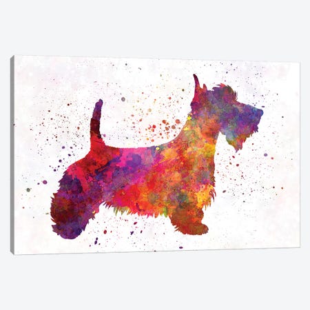 Scottish Terrier In Watercolor Canvas Print #PUR645} by Paul Rommer Canvas Print