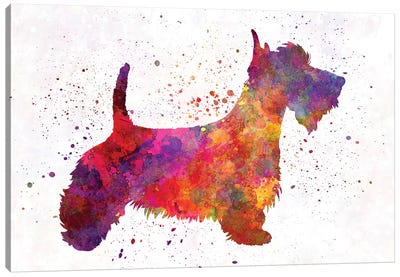 Scottish Terrier In Watercolor Canvas Art Print - Scottish Terriers