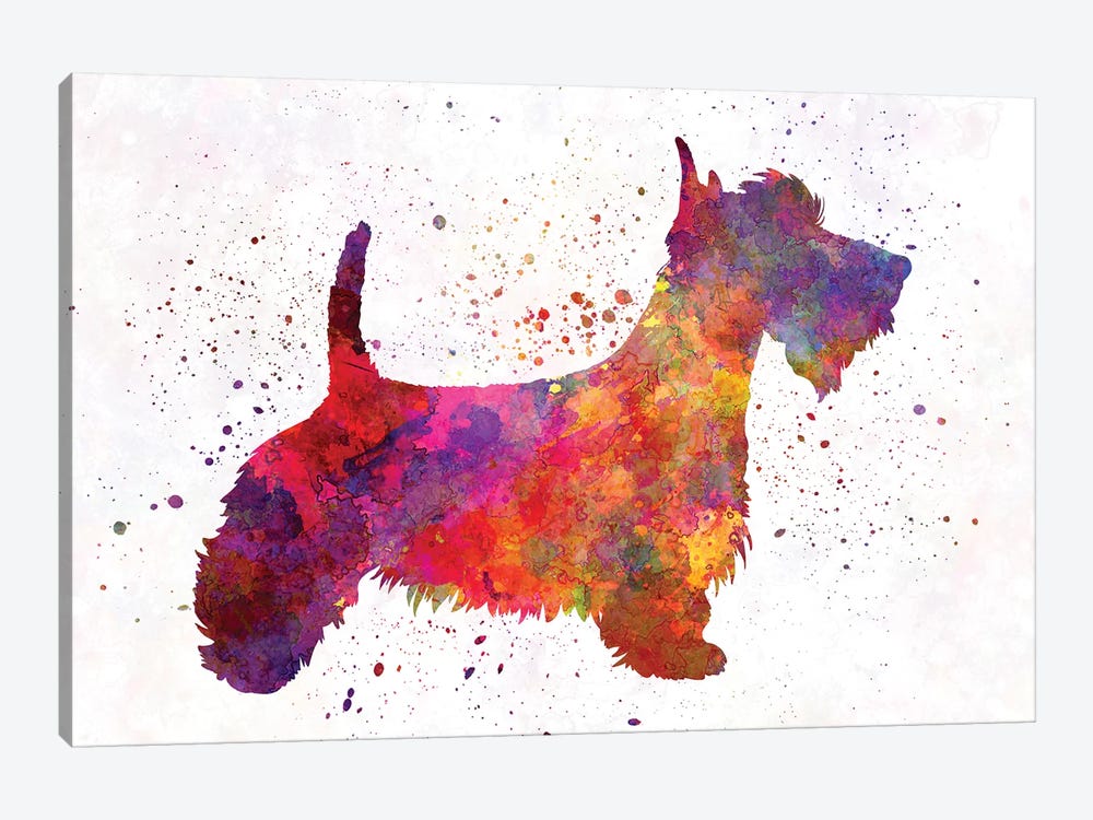 Scottish Terrier In Watercolor by Paul Rommer 1-piece Canvas Art