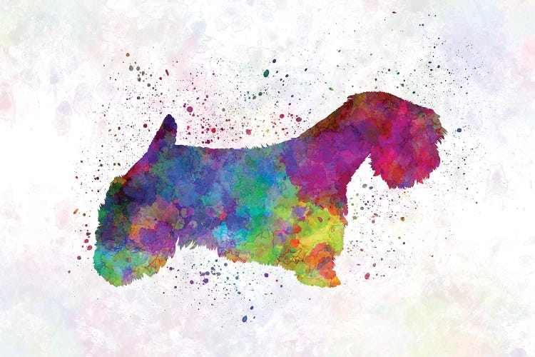 Sealyham Terrier In Watercolor by Paul Rommer wall art